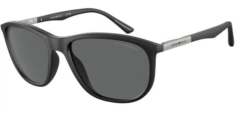 EMPORIO ARMANI EA4201 500187