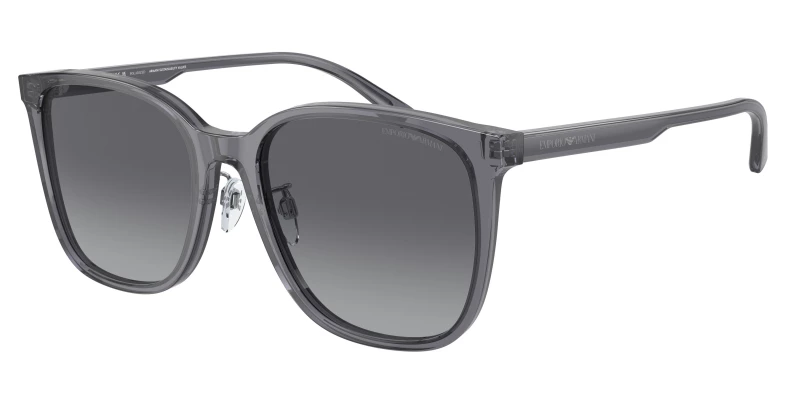 EMPORIO ARMANI EA4206D 5029T3