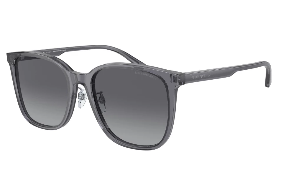 EMPORIO ARMANI EA4206D 5029T3