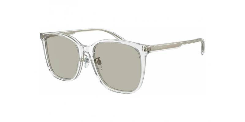 EMPORIO ARMANI EA4206D 5893/3