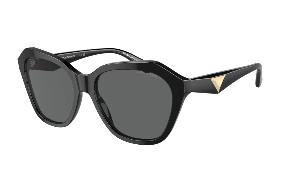 EMPORIO ARMANI EA4221 501787