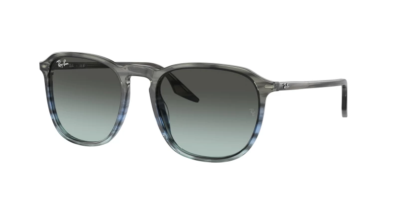 Ray-Ban RB2203 1391GK