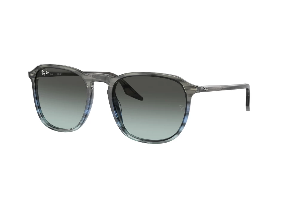 Ray-Ban RB2203 1391GK