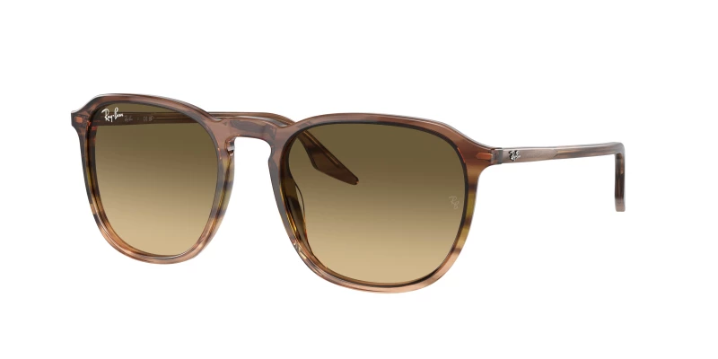 Ray-Ban RB2203 13920A