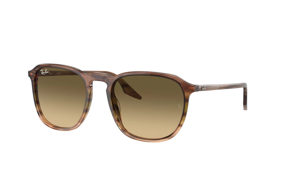 Ray-Ban RB2203 13920A