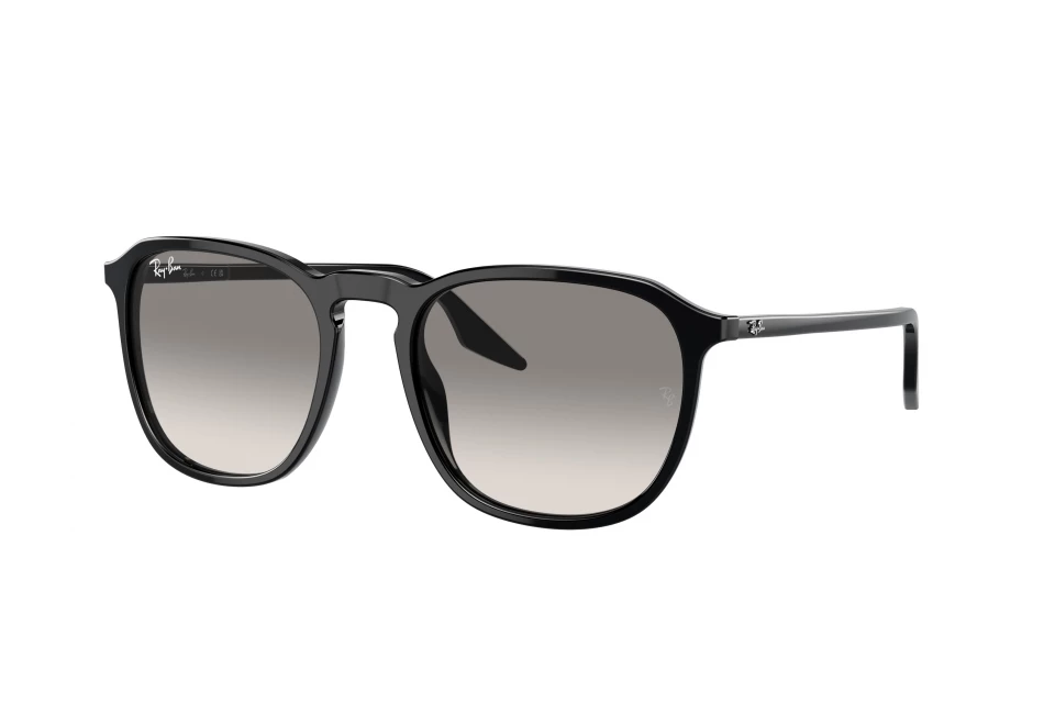 Ray-Ban RB2203 901/32