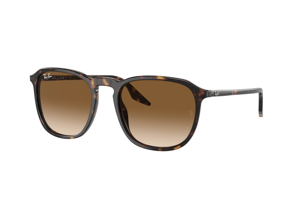 Ray-Ban RB2203 902/51