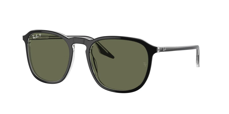 Ray-Ban RB2203 919/58 POLARIZED